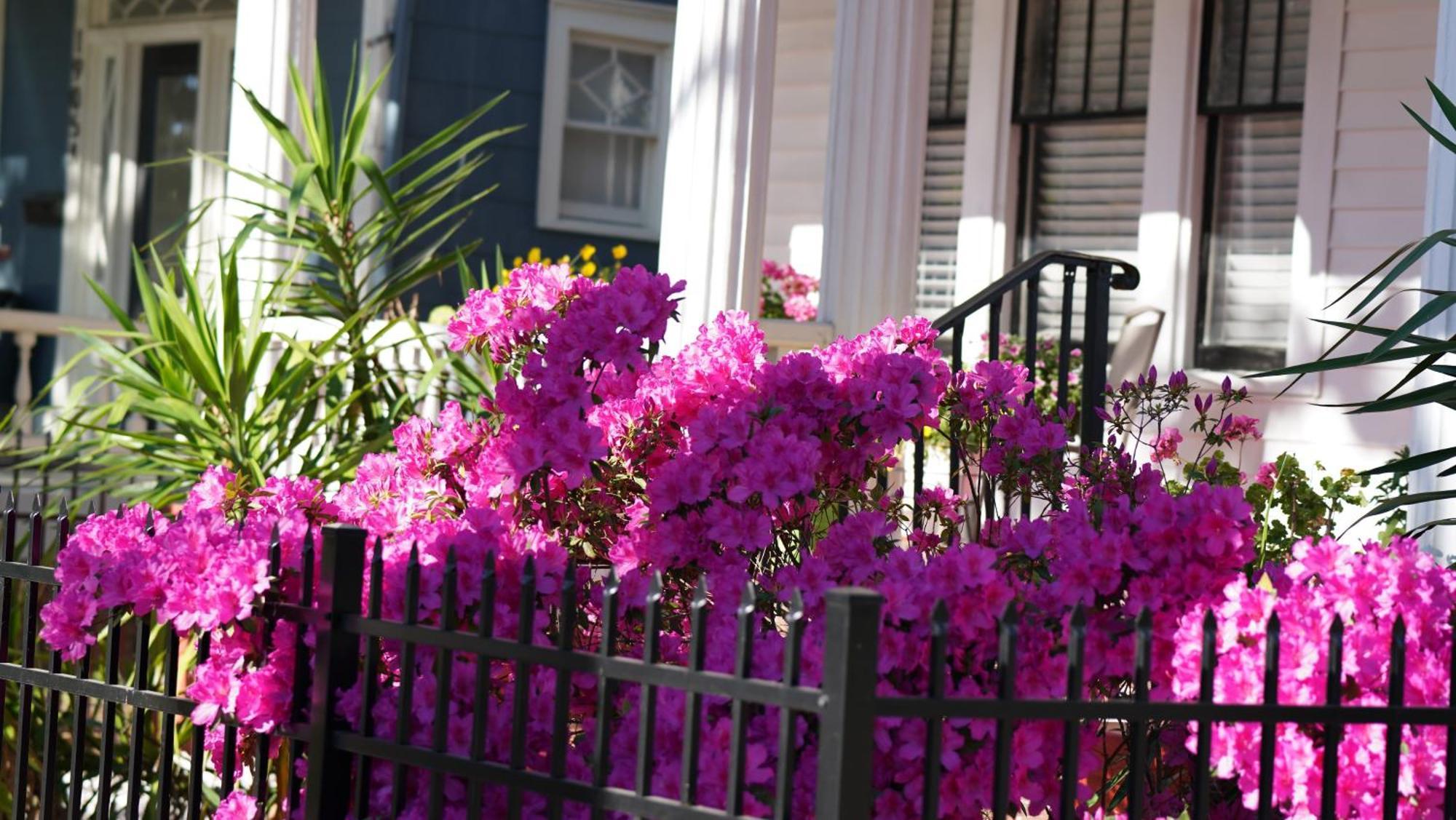 5 Bedroom Downtown Savannah Ga Dış mekan fotoğraf